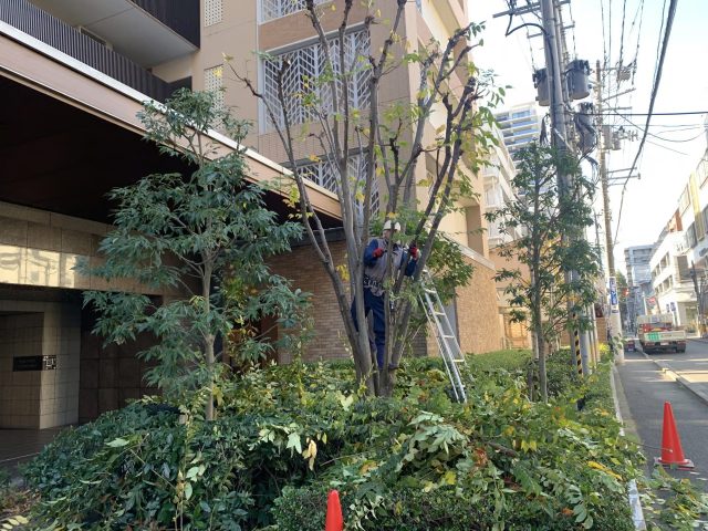 青葉区　Mマンション管理