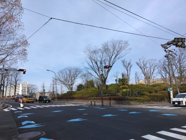 美術館高木伐採工事