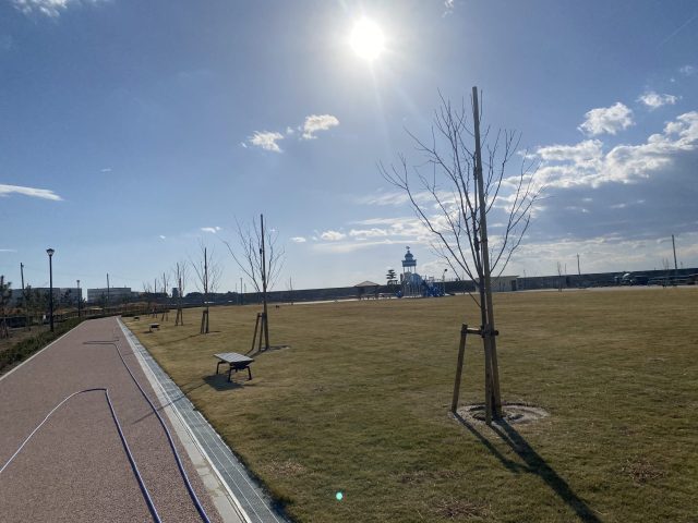 蒲生北部2号公園植栽工事